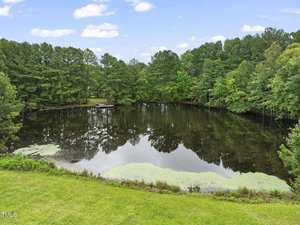 A serene pond surrounded by dense, lush green trees. The water reflects the tree line and cloudy sky above. A small wooden dock extends into the pond, with patches of aquatic plants near the shore. A grassy area is in the foreground.