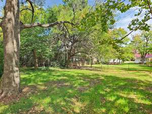 A sunny yard with vibrant green grass and tall trees providing shade. In the background, there are a few houses with white siding and red roofs. The trees' foliage is lush, creating a serene and peaceful setting.