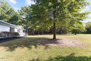 A grassy yard with a large tree in the center. A white house with a small porch is on the left. The background features a line of tall green trees under a blue sky.