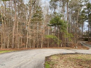 A winding road curves in front of a dense forest with bare trees. A patch of grass lines the road edge, and a few scattered leaves are visible. The scene appears to be late autumn or winter.