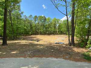 A cleared piece of land surrounded by tall trees under a blue sky with scattered clouds. The ground is covered in hay and some construction materials, indicating recent land work.
