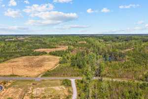Aerial view of a rural landscape with a mix of open fields and dense forest. A road runs through the foreground, with a car visible on it. The sky is partly cloudy, and the horizon stretches into the distance.