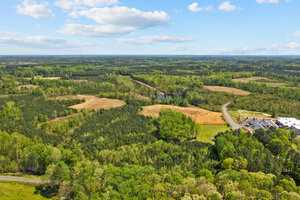 Aerial view of a vast, lush green landscape with dense forests and open clearings under a blue sky with fluffy clouds. A winding road and small buildings are visible in the lower right corner.