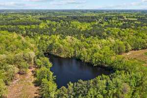 Aerial view of a lush green forest surrounding a small, dark blue lake. The landscape extends to the horizon under a partly cloudy sky, creating a serene and natural scene.