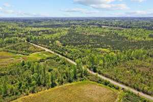 Aerial view of a lush green landscape with dense forests and a winding road cutting through the scenery. The sky is partly cloudy, and the horizon shows expansive fields and forests.