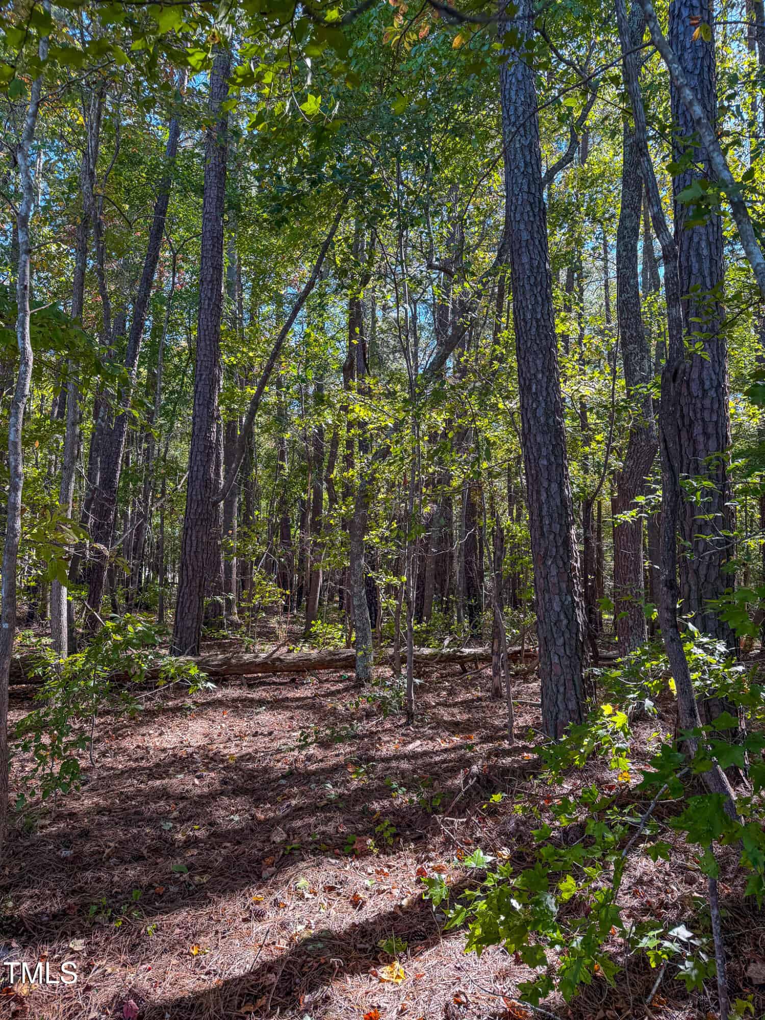 1618 Sunset Road, Oxford, NC 27565