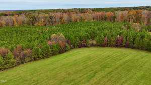 Aerial view of a lush green field bordered by a dense forest displaying a mix of autumn colors. The tree line shows shades of green, orange, and red under a cloudy sky.