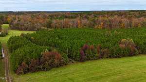 Aerial view of a large green forest bordered by trees with autumn foliage. The foreground shows a grassy field with a train track running along the left side. The sky is overcast.