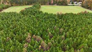 A dense forest of evergreen trees covers most of the image, with a grassy field visible in the background. Beyond the field near 2551 Little Mountain Creek Road in Oxford, a few structures sit at the edge of the forest, all under a clear sky.