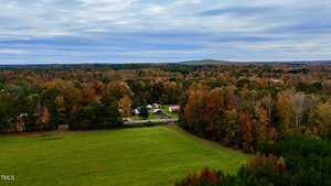 Aerial view of a rural landscape featuring a grassy field in the foreground and a dense forest with autumn foliage. A small cluster of houses and a road are visible amidst the trees, with a cloudy sky overhead.