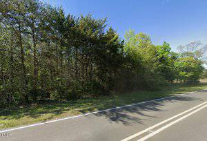 A straight road runs alongside a dense line of trees and bushes under a clear blue sky. The scene is calm with green foliage visible on the right side, and a thin grassy area separates the road from the trees.