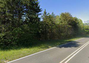 A paved road curves along a densely wooded area with tall trees and green foliage. A narrow grass shoulder separates the road from the trees. The sky is clear and blue above the tree line.