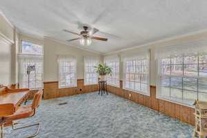 A bright sunroom with multiple windows, featuring a ceiling fan and blue carpet. The room includes a wooden desk with chairs on the left and a large potted plant in the center, with wood-paneling halfway up the walls.