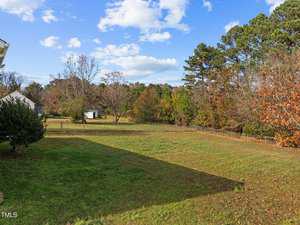 A backyard with a grassy lawn and a mix of trees in the background. The sky is partly cloudy, and a small white shed is visible on the left side near the tree line. The area is surrounded by a wire fence, with a house partially seen on the left.