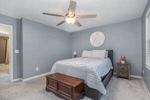 A bedroom with gray walls features a double bed with a gray quilt and two pillows. Above the bed is a decorative circular wall piece. A nightstand with a lamp and flowers sits to one side. There is a ceiling fan above and a wooden chest at the bed's foot.