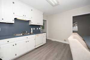 Kitchen interior with white cabinets, blue backsplash, and a double sink. A dishwasher is beside the sink, and there's a cut-out view into another room. The floor is light gray wood, and a portion of a beige couch is visible in the foreground.