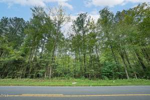 A road runs along a dense forest with tall green trees under a blue sky scattered with clouds. A small sign is at the edge of the road, partially obscured by grass. The asphalt road features a double yellow line marking.