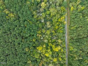 Aerial view of a dense forest with a mix of green and yellow foliage, indicating a transition into autumn. A narrow road runs through the forest, and a red car is visible on the road in the upper right corner.