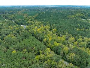 Aerial view of a large expanse of dense forest with mixed green foliage. A road cuts through the trees, and a few small buildings are visible in the distance. The sky is overcast, casting a muted light over the landscape.