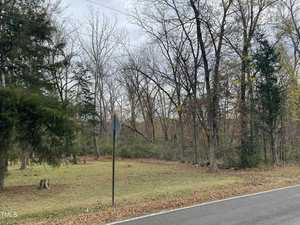A rural roadside scene with a grassy area and several trees with sparse leaves. A triangular road sign is visible near the edge of the road. The sky is overcast, and a forested area extends into the background.
