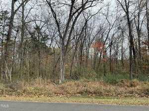 A road runs alongside a forest of mostly leafless trees in late autumn. A few trees have sparse clusters of orange leaves. The ground is covered with dry grass and fallen leaves under a cloudy sky.