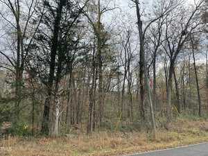 A roadside view of a forested area near 311 Oxford Street reveals a mix of deciduous and evergreen trees. The sparse foliage hints at late autumn, while an electric pole stands vigil beside the road. An overcast sky adds to the Stovall-like tranquility.