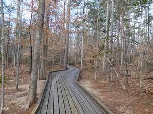 Wooden boardwalk winding through a forest with tall trees. Some trees have brown leaves, suggesting late autumn. The path is bordered by dry ground and fallen leaves, under an overcast sky.