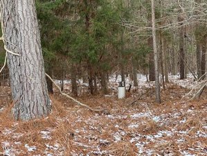 A white propane tank stands amidst a forest with tall trees and scattered snow patches on the ground. The scene features a mix of evergreen and deciduous trees, with dry leaves and twigs covering the forest floor.