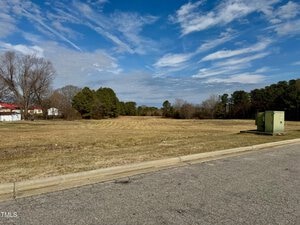 A grassy vacant lot stretches beside a paved road under a partly cloudy sky. Trees line the back of the field, and two green utility boxes are visible on the right side of the image. A few buildings are partially visible to the left.