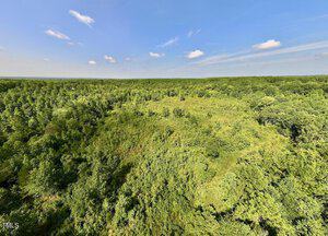 Aerial view of a vast, green forest under a clear blue sky with scattered clouds. The dense tree canopy covers the landscape, with patches of lighter green areas where the trees are sparser.