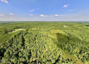Aerial view of a vast, green forest landscape under a blue sky with scattered clouds. The dense foliage stretches across the image, with a section of lighter green indicating a clearing or hill.