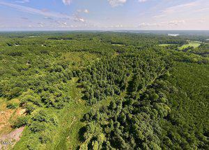 Aerial view of a vast forested landscape under a partly cloudy sky. Dense green trees cover most of the area, with a few clearings visible. The horizon stretches into the distance, showing a mix of treetops and sky.