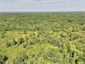 Aerial view of a vast, lush green forest spreading to the horizon under a lightly clouded sky. Dense clusters of trees and patches of clearings are visible, creating a natural pattern across the landscape.