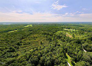 Aerial view of a vast green landscape with dense forests under a partly cloudy sky. Rolling hills and patches of open land are visible. A narrow road is seen winding through the greenery in the lower part of the image.