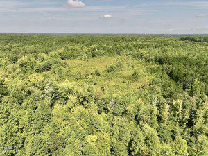 Aerial view of a dense green forest with a clearing in the center. The horizon shows a line of trees, blending into a slightly cloudy blue sky. The scene is vast and tranquil.