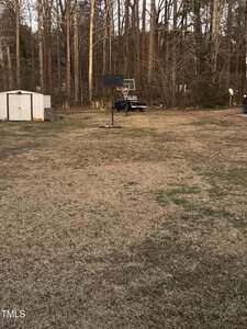 The backyard scene at 0 Julia Avenue showcases a dry grass lawn with a basketball hoop on the left. In the distance, there's a white shed and a vehicle near the tree line. Tall, leafless trees tower in the background, capturing the serene essence of Henderson's landscape.