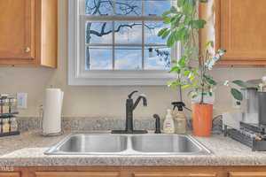 A kitchen sink with a granite countertop, featuring a double basin stainless steel sink and black faucet. A tall green plant in an orange pot is on the right, with soap dispensers beside it. A window above shows a blue sky and tree branches.