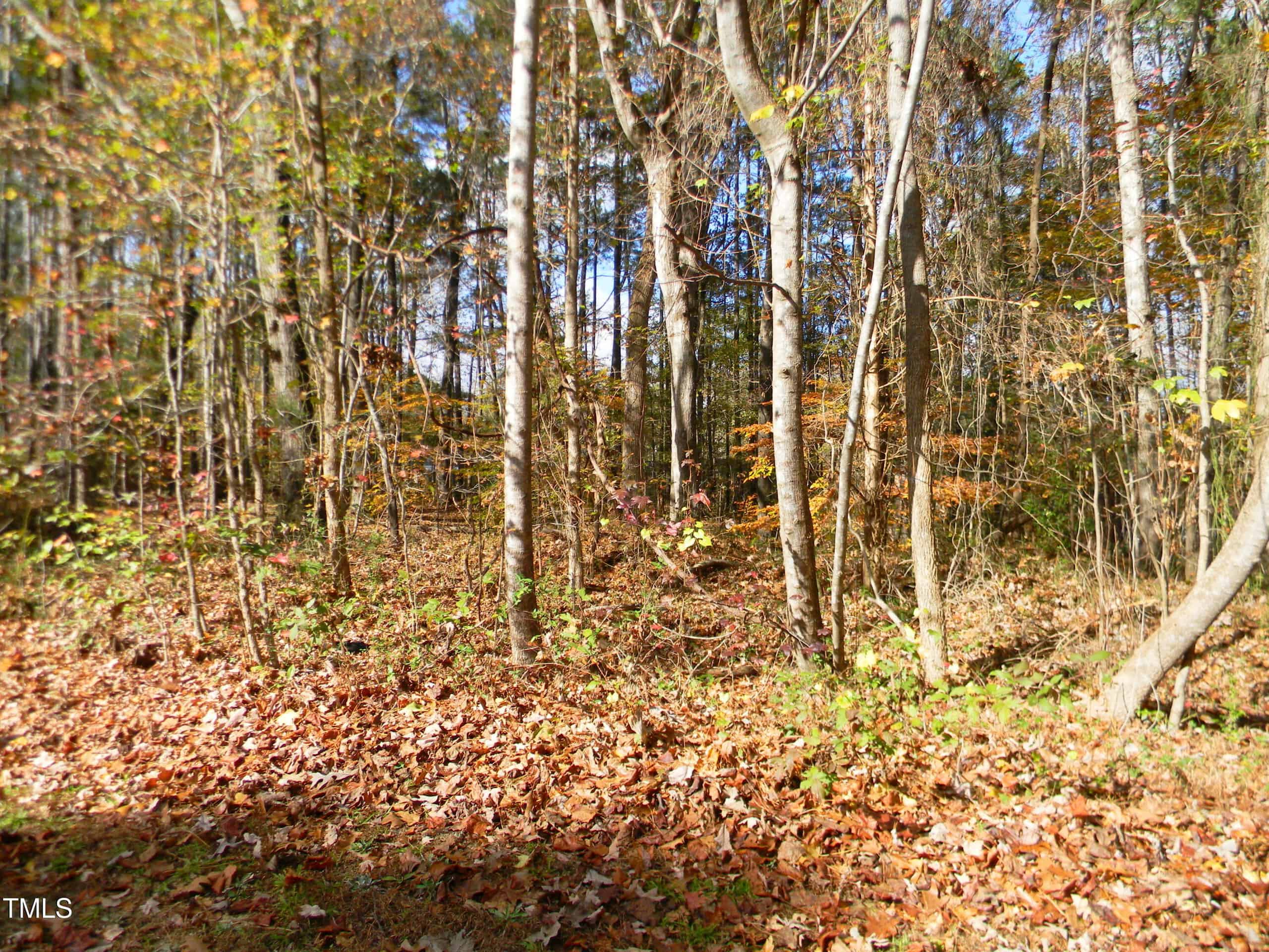 Lot  21 Lewis Lane, Henderson, NC 27537