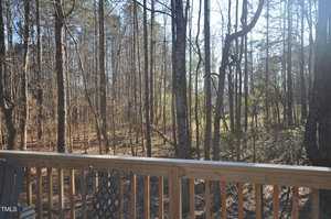 View of a forest area with tall, leafless trees under a clear sky. A wooden deck with part of a chair and table is visible in the foreground, overlooking the wooded scene. Sunlight filters through the branches, casting shadows on the ground.