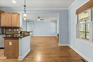 Open floor plan with light blue walls and wood flooring. The kitchen features wooden cabinets and a granite countertop. A pendant light hangs above the counter. The living area has a ceiling fan, and a window with a bamboo blind is on the right wall.