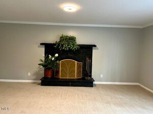 A living room features a minimalist design with light gray walls and beige carpet. The focal point is a dark stone fireplace adorned with a gold screen. Potted plants are placed on and beside the mantel, with a small set of fireplace tools to the right.