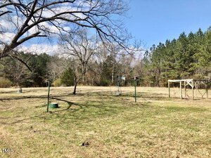 Grassy field with scattered trees and a green metal frame. A trellis structure stands to the right. Leafless branches extend from a tree in the foreground. A wooded area is visible in the background under a partly cloudy sky.