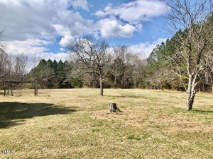 A grassy field with a tree stump in the foreground and several bare trees scattered across the landscape. A dense forest of tall pine trees is visible in the background under a partly cloudy sky.