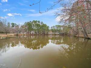 A calm pond reflects trees and houses under a blue sky with scattered clouds. Bare tree branches with some red buds frame the scene in the foreground. The shoreline is lined with grass and more trees.