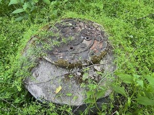 A weathered manhole cover partially covered with green foliage and grass. The cover appears old and rusty, blending into the surrounding vegetation.