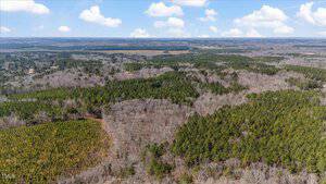 Aerial view of a large landscape with a mix of green coniferous and leafless deciduous trees, stretching to the horizon. The sky is partly cloudy, casting soft shadows over the vast forested area.