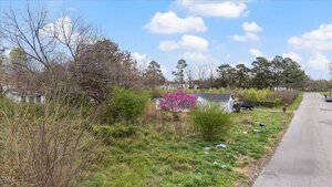 A rural scene with a paved road on the right and grassy land on the left. There is a small white house with a gray roof surrounded by trees, including one with pink blossoms. Patches of green foliage and scattered shrubs line the area.