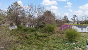 Overgrown grassy field with scattered shrubs and trees. A small house with a dark roof is to the right, partially obscured. Pink flowering bush near the house. Cloudy sky in the background.