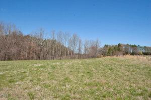 Open grassy field with sparse patches of brown and green grass under a clear blue sky. A line of leafless trees is visible in the background, bordering the field. A forested area with evergreen trees is on the right.