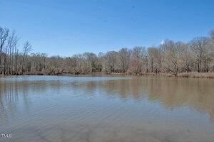 A calm lake reflecting the clear blue sky is surrounded by bare trees on a sunny day. The water's surface is slightly rippled, and the trees display sparse early spring foliage.